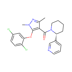 Cc1nn(C)c(Oc2cc(Cl)ccc2Cl)c1C(=O)N1CCCC[C@@H]1c1cccnc1 ZINC000095590480