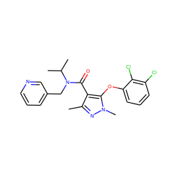 Cc1nn(C)c(Oc2cccc(Cl)c2Cl)c1C(=O)N(Cc1cccnc1)C(C)C ZINC000095589105