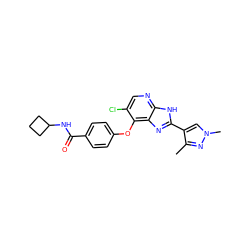 Cc1nn(C)cc1-c1nc2c(Oc3ccc(C(=O)NC4CCC4)cc3)c(Cl)cnc2[nH]1 ZINC000103275415