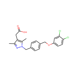 Cc1nn(Cc2ccc(COc3ccc(Cl)c(Cl)c3)cc2)c(C)c1CC(=O)O ZINC000169704033