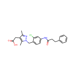 Cc1nn(Cc2ccc(NC(=O)CCc3ccccc3)cc2Cl)c(C)c1CC(=O)O ZINC000168923325