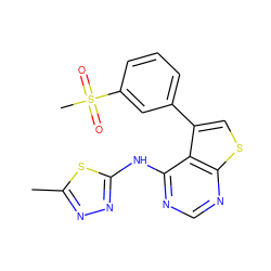 Cc1nnc(Nc2ncnc3scc(-c4cccc(S(C)(=O)=O)c4)c23)s1 ZINC000114808394