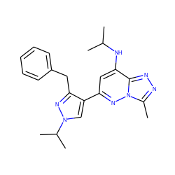 Cc1nnc2c(NC(C)C)cc(-c3cn(C(C)C)nc3Cc3ccccc3)nn12 ZINC000213528208