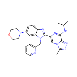 Cc1nnc2c(NC(C)C)nc(-c3nc4ccc(N5CCOCC5)cc4n3Cc3ccccn3)cn12 ZINC000209395030