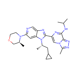 Cc1nnc2c(NC(C)C)nc(-c3nc4cnc(N5CCOC[C@@H]5C)cc4n3[C@@H](C)CC3CC3)cn12 ZINC000230503707