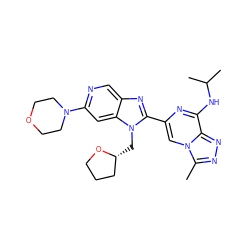 Cc1nnc2c(NC(C)C)nc(-c3nc4cnc(N5CCOCC5)cc4n3C[C@@H]3CCCO3)cn12 ZINC001772641313