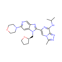 Cc1nnc2c(NC(C)C)nc(-c3nc4cnc(N5CCOCC5)cc4n3C[C@H]3CCCO3)cn12 ZINC001772572197