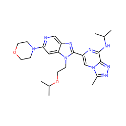 Cc1nnc2c(NC(C)C)nc(-c3nc4cnc(N5CCOCC5)cc4n3CCOC(C)C)cn12 ZINC001772633676