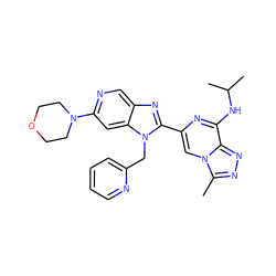 Cc1nnc2c(NC(C)C)nc(-c3nc4cnc(N5CCOCC5)cc4n3Cc3ccccn3)cn12 ZINC000209395081