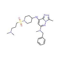 Cc1nnc2c(NC3CCN(S(=O)(=O)CCCN(C)C)CC3)cc(N(C)Cc3ccccc3)nn12 ZINC000146651354