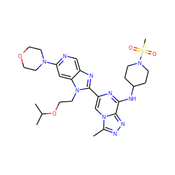 Cc1nnc2c(NC3CCN(S(C)(=O)=O)CC3)nc(-c3nc4cnc(N5CCOCC5)cc4n3CCOC(C)C)cn12 ZINC001772641273