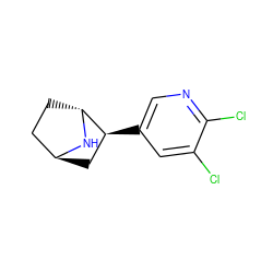 Clc1cc([C@H]2C[C@H]3CC[C@H]2N3)cnc1Cl ZINC000100048017