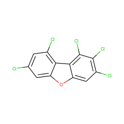 Clc1cc(Cl)c2c(c1)oc1cc(Cl)c(Cl)c(Cl)c12 ZINC000002569957