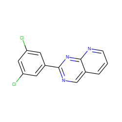 Clc1cc(Cl)cc(-c2ncc3cccnc3n2)c1 ZINC000028826521