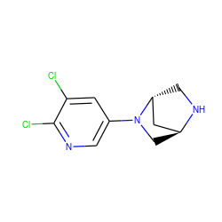 Clc1cc(N2C[C@H]3C[C@H]2CN3)cnc1Cl ZINC000253673852