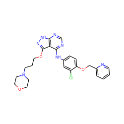 Clc1cc(Nc2ncnc3[nH]nc(OCCCN4CCOCC4)c23)ccc1OCc1ccccn1 ZINC000029128598