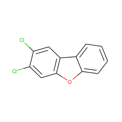 Clc1cc2oc3ccccc3c2cc1Cl ZINC000005935076