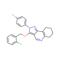 Clc1ccc(-n2nc3c4c(ncc3c2OCc2ccccc2Cl)CCCC4)cc1 ZINC000066066130