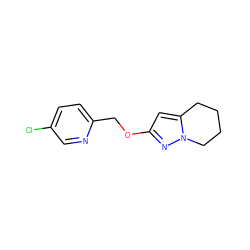 Clc1ccc(COc2cc3n(n2)CCCC3)nc1 ZINC000096911200