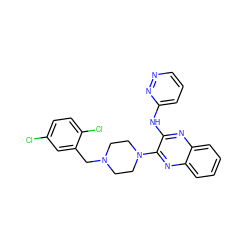 Clc1ccc(Cl)c(CN2CCN(c3nc4ccccc4nc3Nc3cccnn3)CC2)c1 ZINC000144406211