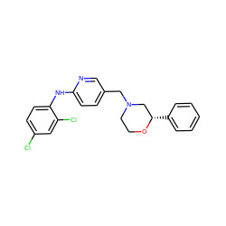 Clc1ccc(Nc2ccc(CN3CCO[C@@H](c4ccccc4)C3)cn2)c(Cl)c1 ZINC000043195551