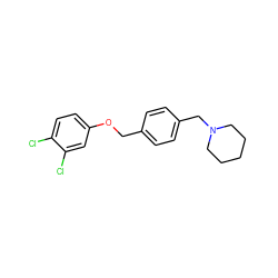 Clc1ccc(OCc2ccc(CN3CCCCC3)cc2)cc1Cl ZINC000013517633