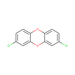 Clc1ccc2c(c1)Oc1cc(Cl)ccc1O2 ZINC000002007602