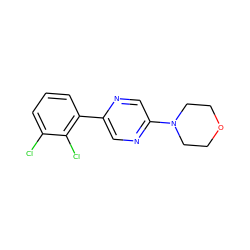 Clc1cccc(-c2cnc(N3CCOCC3)cn2)c1Cl ZINC000045350850