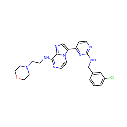 Clc1cccc(CNc2nccc(-c3cnc4c(NCCN5CCOCC5)nccn34)n2)c1 ZINC000169701276