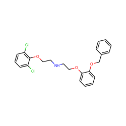 Clc1cccc(Cl)c1OCCNCCOc1ccccc1OCc1ccccc1 ZINC000064448958