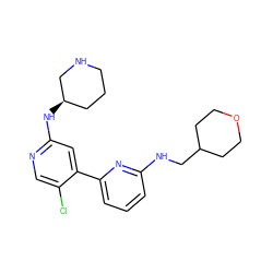 Clc1cnc(N[C@@H]2CCCNC2)cc1-c1cccc(NCC2CCOCC2)n1 ZINC000169703688