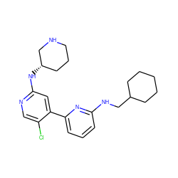 Clc1cnc(N[C@H]2CCCNC2)cc1-c1cccc(NCC2CCCCC2)n1 ZINC000169703693