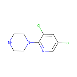 Clc1cnc(N2CCNCC2)c(Cl)c1 ZINC000019015156