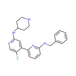 Clc1cnc(NC2CCNCC2)cc1-c1cccc(NCc2ccccc2)n1 ZINC000169703667