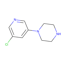 Clc1cncc(N2CCNCC2)c1 ZINC000013703908