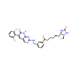 Cn1c(=O)c(-c2c(Cl)cccc2Cl)cc2cnc(NCc3cccc(C(=O)CCCC[C@@H]4SC[C@@H]5NC(=O)N[C@H]45)c3)nc21 ZINC000058592599