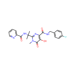 Cn1c(C(C)(C)NC(=O)c2ccccn2)nc(C(=O)NCc2ccc(F)cc2)c(O)c1=O ZINC000036925341