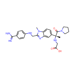 Cn1c(CNc2ccc(C(=N)N)cc2)nc2cc([C@@](C)(NCC(=O)O)C(=O)N3CCCC3)ccc21 ZINC000064527030