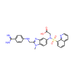 Cn1c(CNc2ccc(C(=N)N)cc2)nc2cc(N(CC(=O)O)S(=O)(=O)c3cccc4cccnc34)ccc21 ZINC000006183373