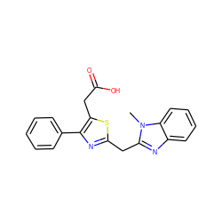 Cn1c(Cc2nc(-c3ccccc3)c(CC(=O)O)s2)nc2ccccc21 ZINC000095605868