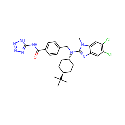 Cn1c(N(Cc2ccc(C(=O)Nc3nnn[nH]3)cc2)[C@H]2CC[C@H](C(C)(C)C)CC2)nc2cc(Cl)c(Cl)cc21 ZINC000261095010