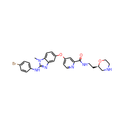 Cn1c(Nc2ccc(Br)cc2)nc2cc(Oc3ccnc(C(=O)NCC[C@@H]4CNCCO4)c3)ccc21 ZINC000042851876