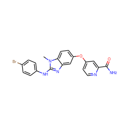 Cn1c(Nc2ccc(Br)cc2)nc2cc(Oc3ccnc(C(N)=O)c3)ccc21 ZINC000040895338