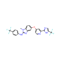 Cn1c(Nc2ccc(C(F)(F)F)cc2)nc2cc(Oc3ccnc(-c4ncc(C(F)(F)F)[nH]4)c3)ccc21 ZINC000018710085