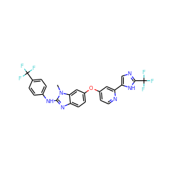 Cn1c(Nc2ccc(C(F)(F)F)cc2)nc2ccc(Oc3ccnc(-c4cnc(C(F)(F)F)[nH]4)c3)cc21 ZINC000073200190