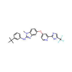 Cn1c(Nc2cccc(C(C)(C)C)c2)nc2cc(Oc3ccnc(-c4ncc(C(F)(F)F)[nH]4)c3)ccc21 ZINC000034983916