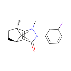 Cn1c2c(c(=O)n1-c1cccc(I)c1)[C@H]1CC[C@]2(C)C1(C)C ZINC000141795126