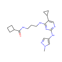 Cn1cc(Nc2ncc(C3CC3)c(NCCCNC(=O)C3CCC3)n2)cn1 ZINC000095563061