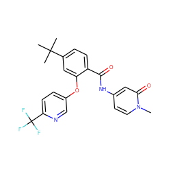 Cn1ccc(NC(=O)c2ccc(C(C)(C)C)cc2Oc2ccc(C(F)(F)F)nc2)cc1=O ZINC000223866317