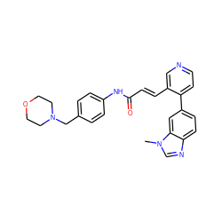 Cn1cnc2ccc(-c3ccncc3/C=C/C(=O)Nc3ccc(CN4CCOCC4)cc3)cc21 ZINC001772642086